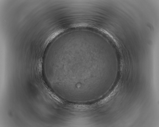 X0000115610921200911101424