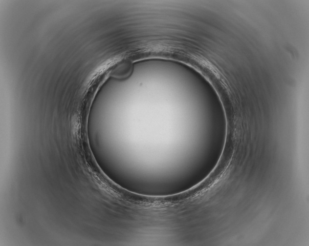 X0000115610922200911101424