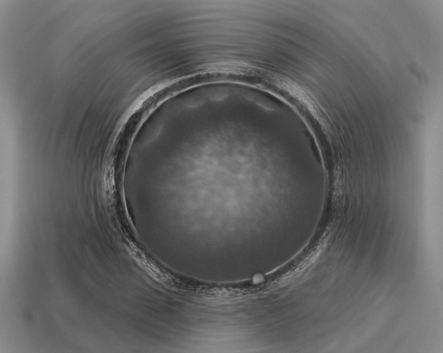 X0000115610923200911101424