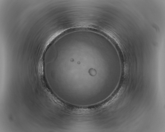 X0000115610925200911101424