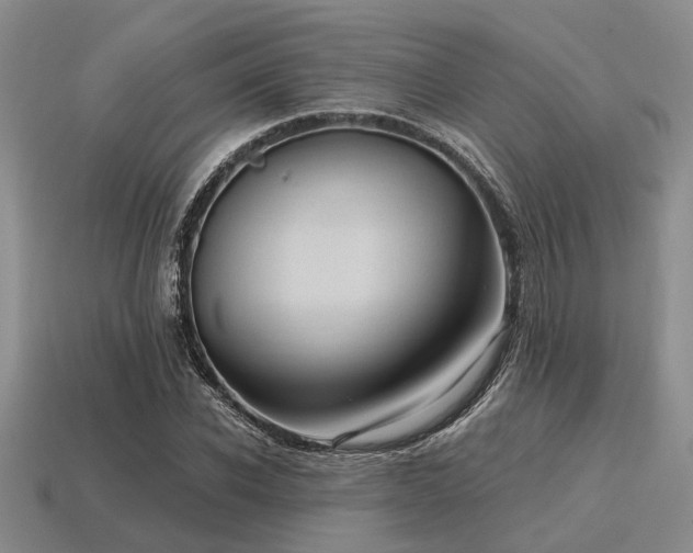 X0000115610926200911101424