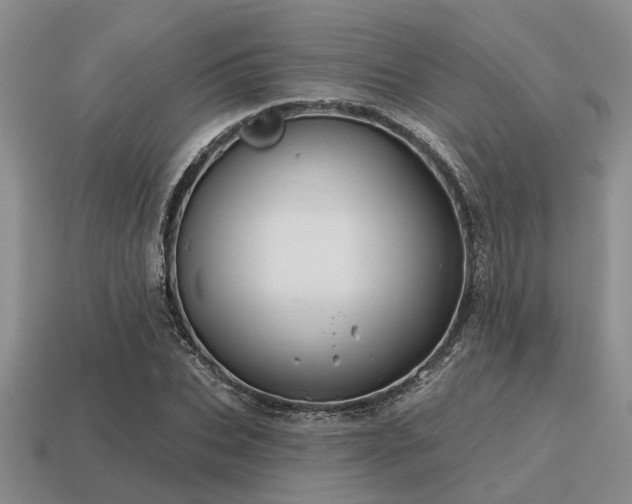 X0000115610927200911101424