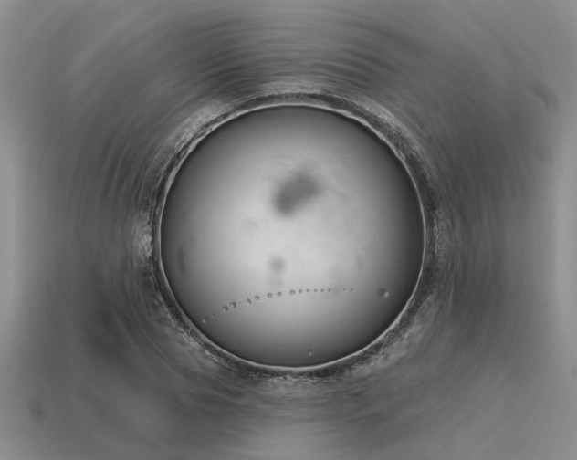 X0000115610929200911101424