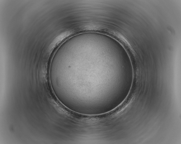 X0000115610930200911101424