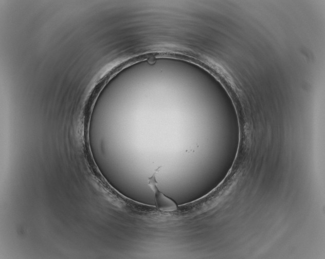 X0000115610931200911101424