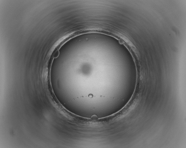 X0000115610933200911101424