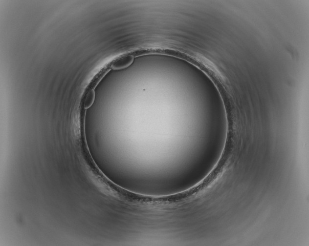 X0000115610934200911101424