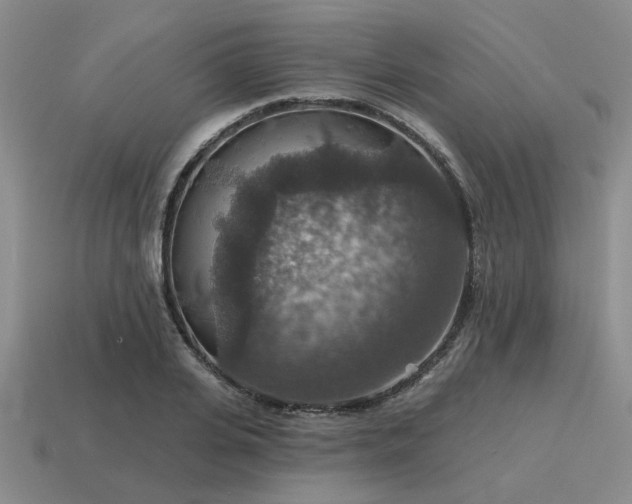 X0000115610935200911101424