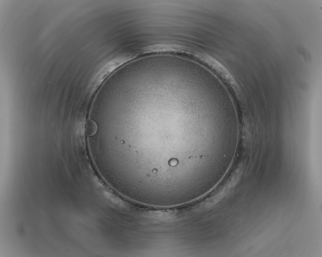 X0000115610937200911101424