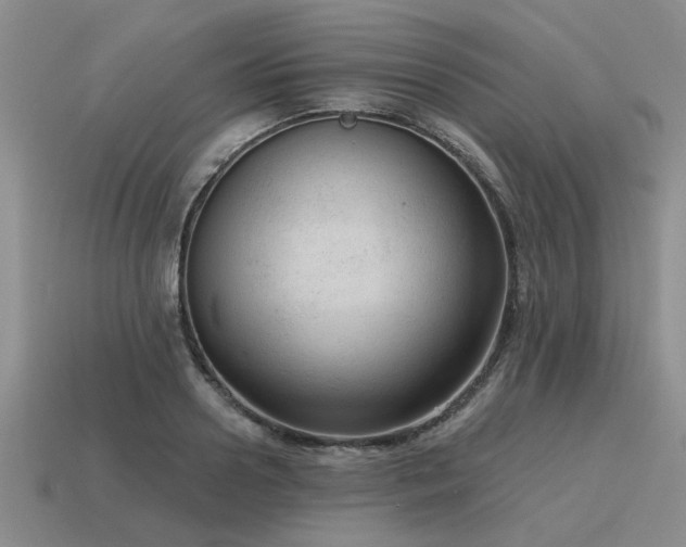 X0000115610938200911101424