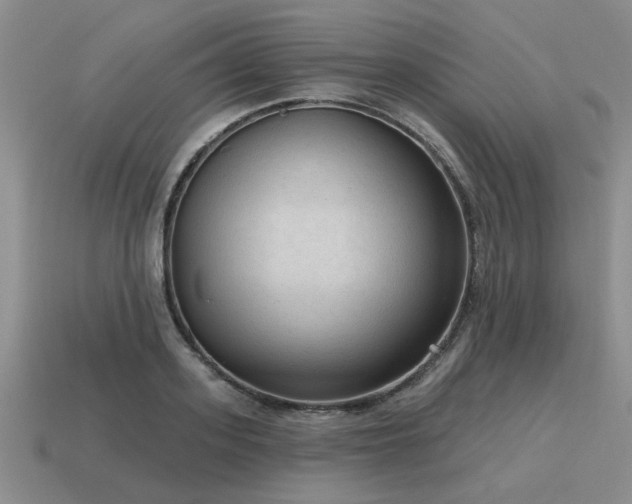 X0000115610939200911101424