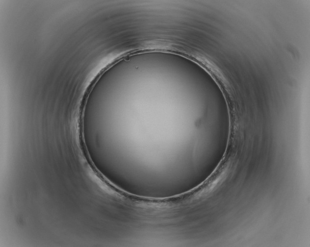 X0000115610941200911101424