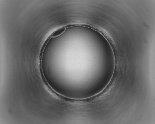 X0000115610942200911101424
