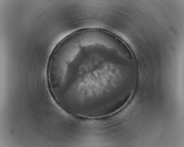 X0000115610943200911101424
