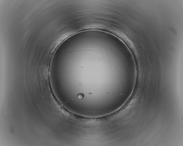 X0000115610945200911101424