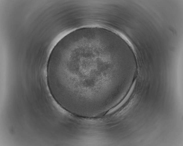 X0000115610951200911101424