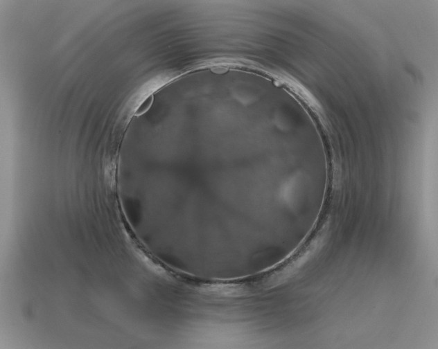 X0000115610953200911101424