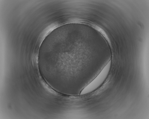 X0000115610954200911101424