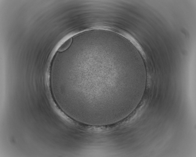 X0000115610955200911101424