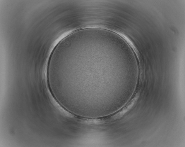 X0000115610957200911101424