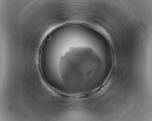 X0000115610958200911101424