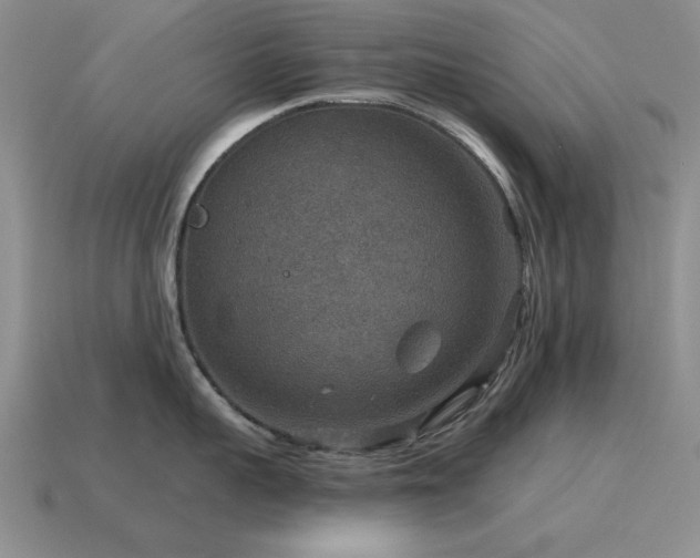 X0000115610959200911101424