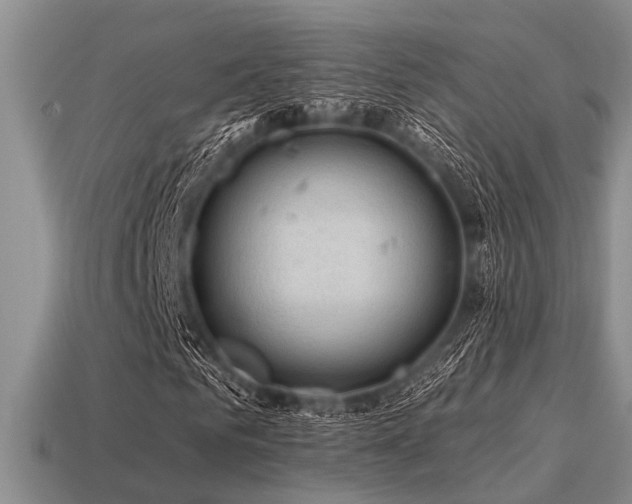 X0000115610961200911101424