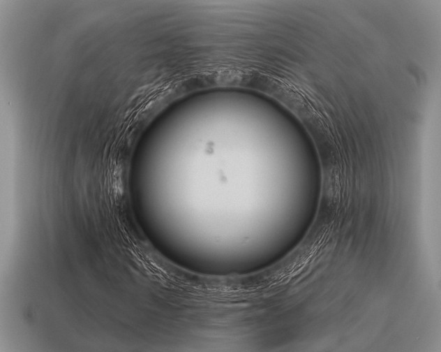 X0000115610962200911101424