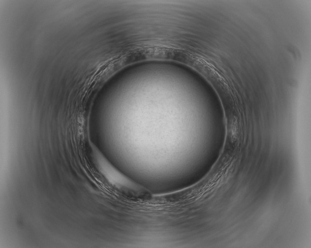 X0000115610964200911101423