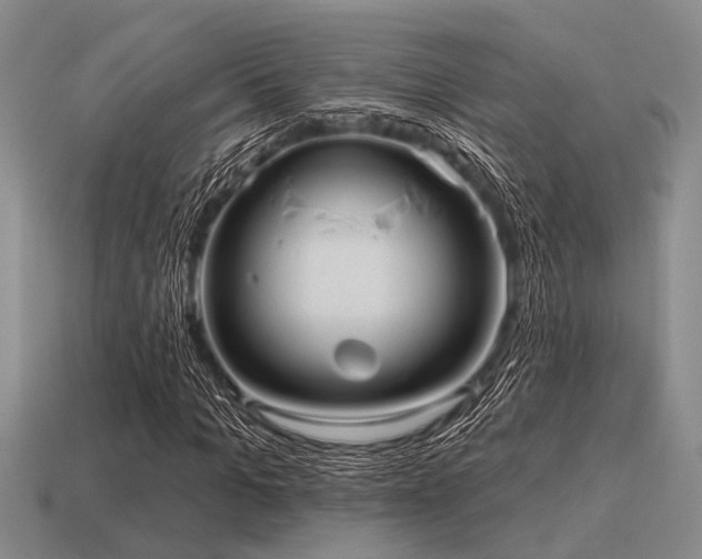 X0000115610965200911101423