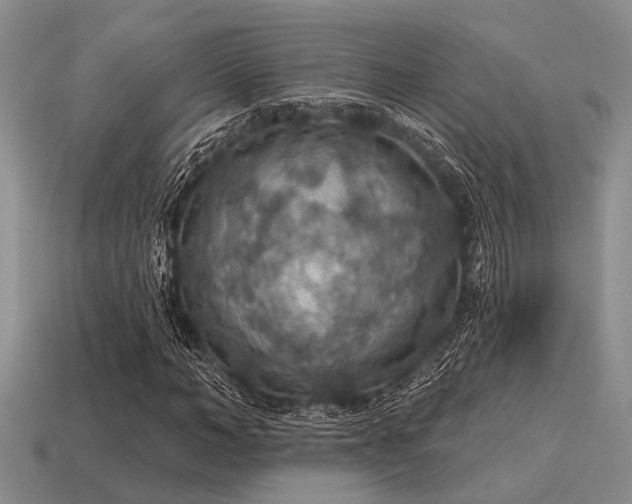 X0000115610966200911101423