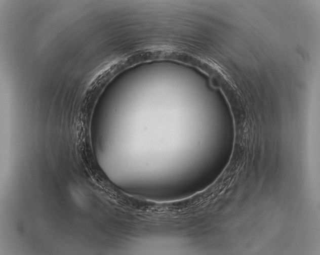 X0000115610967200911101423