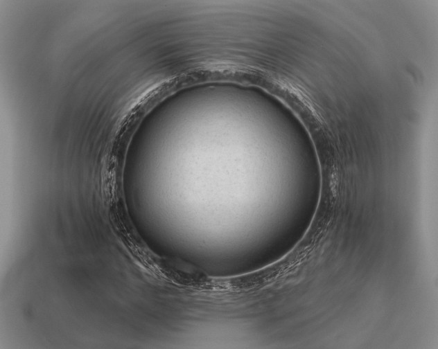 X0000115610968200911101423