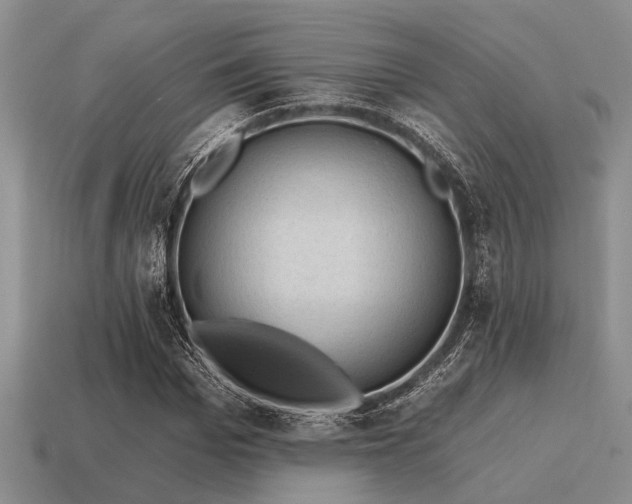 X0000115610969200911101423
