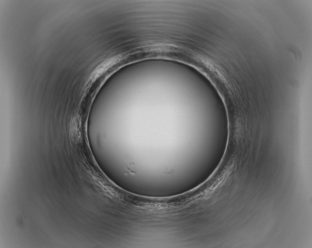X0000115610970200911101423