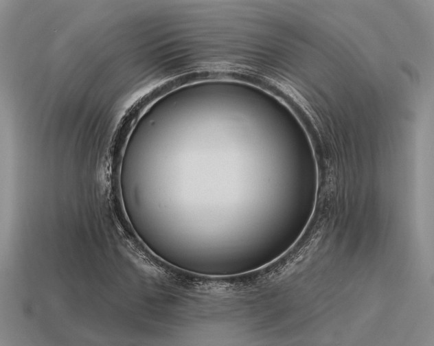 X0000115610971200911101423