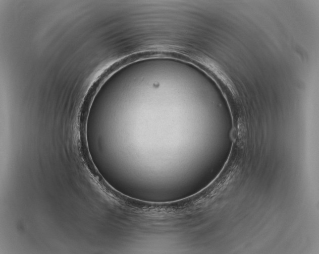 X0000115610972200911101423