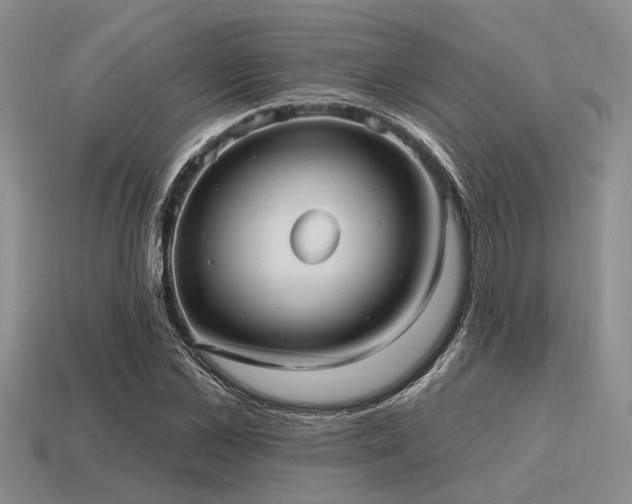 X0000115610973200911101423