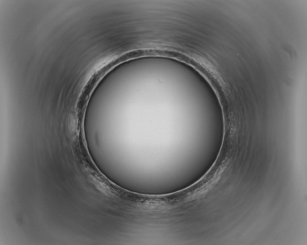 X0000115610974200911101423