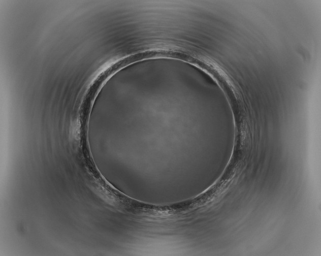X0000115610975200911101423