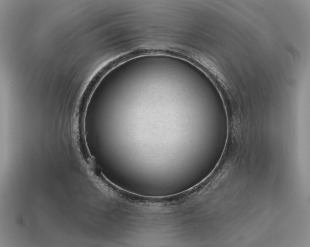 X0000115610976200911101423