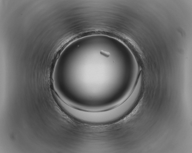 X0000115610977200911101423
