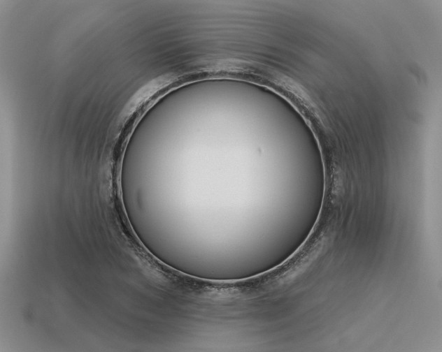 X0000115610978200911101423