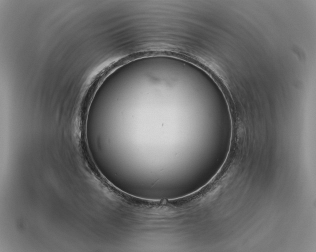 X0000115610979200911101423