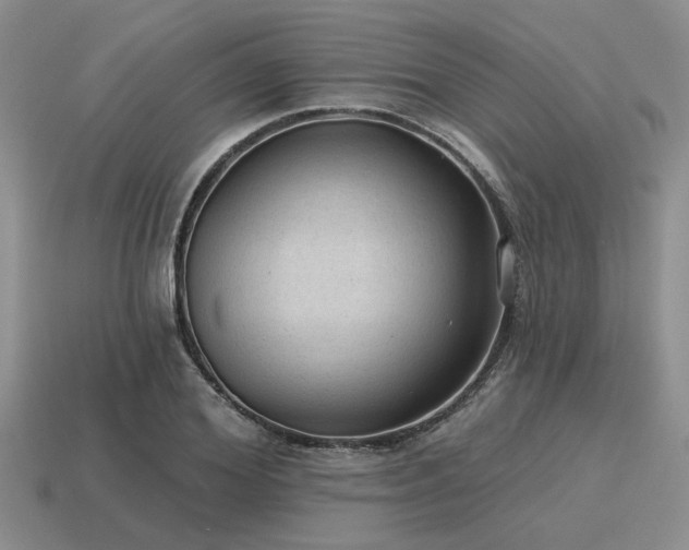 X0000115610980200911101423