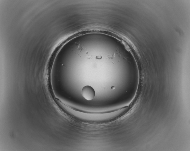 X0000115610981200911101423