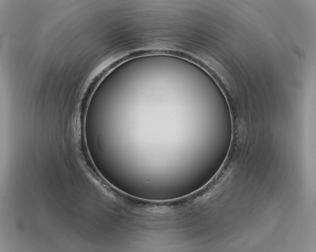 X0000115610982200911101423