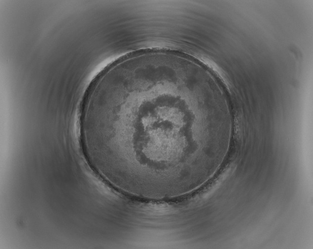 X0000115610983200911101423