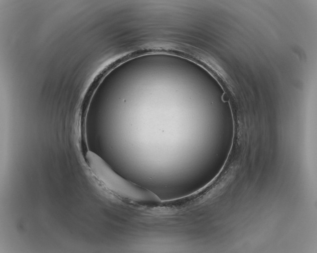 X0000115610984200911101423