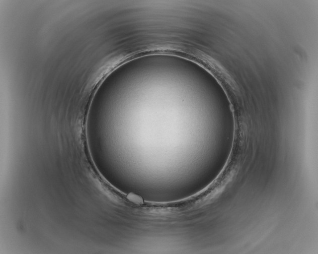 X0000115610985200911101423